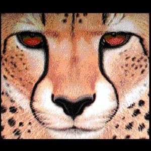 Meet your Posher, Carolyn